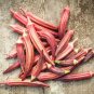 30 seeds Okra Ct Asian Vegetable Non-Gmo Heirloom Usa  Jing Orange