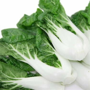500+ seeds Pak Choi Cabbage  White Stem Chinese Non-Gmo Usa