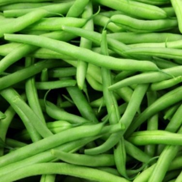 50 seeds Kentucky Wonder Pole Bean Ct Heirloom Vegetable Garden Usa Non-Gmo