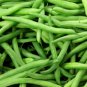 50 seeds Kentucky Wonder Pole Bean Ct Heirloom Vegetable Garden Usa Non-Gmo