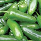 50+ seeds Jalapeno M Pepper  Hot Spicy Vegetable Non-Gmo Usa Seller