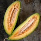 50+ seeds Banana Melon Cantaloupe  Muskmelon Fruit Heirloom Usa