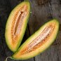 50+ seeds Banana Melon Cantaloupe  Muskmelon Fruit Heirloom Usa