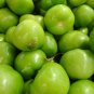 100 seeds Tomatillo Verde Ct Vegetable Salsa Heirloom Non-Gmo Usa