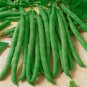 40 seeds Contender Bean Ct Bush Green Stringless Vegetable Garden Non-Gmo Usa