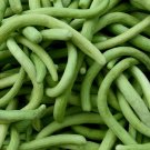 50+ seeds Dark Armenian Cucumber  Long Snake Serpent Vegetable Usa