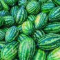 20 seeds Congo Watermelon Ct Fruit Usa