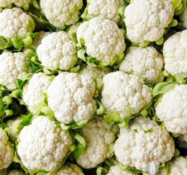 300+ seeds Cauliflower Snowball Y Improved  Vegetable Garden Non-Gmo