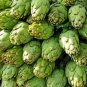 25 seeds Artichoke Green Globe Vegetable Garden Non-Gmo Usa
