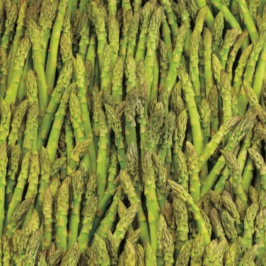 100+ seeds Asparagus  Mary Washington Vegetable Garden Non-Gmo Usa