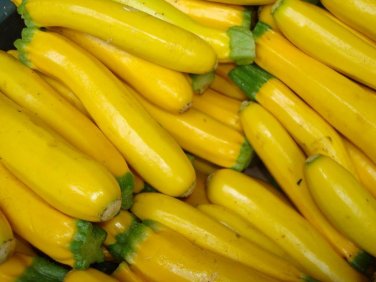 25 seeds Squash Ct Summer Vegetable Non-Gmo Usa  Golden Zucchini