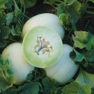 50+ seeds Honey Dew Green Flesh Cantaloupe  Fruit Melon Non-Gmo