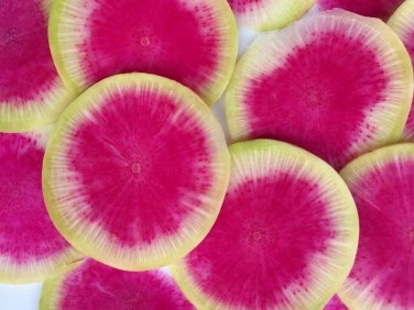 200 seeds Watermelon Radish Vegetable Garden Non-Gmo Usa Seller