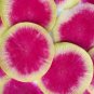 200 seeds Watermelon Radish Vegetable Garden Non-Gmo Usa Seller