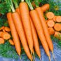 1000+ seeds Tendersweet Carrot  Vegetable Garden Non-Gmo Usa Seller