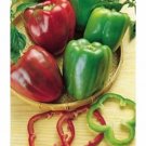 Red & Green Bell Peppers Easy 2 Grow Vegetable Garden Sweet Edible Food 25 seeds