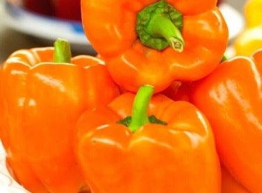 Orange Bell Peppers Easy To Grow Vegetable Garden Sweet Edible Food 25 seeds