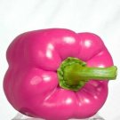 Pink Bell Peppers Easy To Grow Vegetable Garden Sweet Edible Food 25 seeds