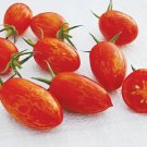 Red Torch Tomato Hybrid Vegetable Garden Planting  Fresh Tomatoe 50+ seeds