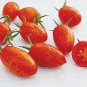 Red Torch Tomato Hybrid Vegetable Garden Planting  Fresh Tomatoe 50+ seeds