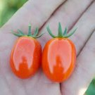 Sweet Baby Boy Tomato Vegetable Garden Planting Tomatoes Usa 50+ seeds