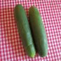 Thunder Cucumber Hybrid Cukes Planting Vegetable  25 seeds