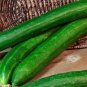 Tasty Green Cucumber Hybrid Cukes Planting Vegetable  25 seeds