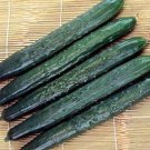 Burpless 26 Cucumber Hybrid Easy Planting Vegetable  25 seeds