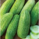 Burpee Pickler Cucumber Hybrid Easy Planting Vegetable  25 seeds