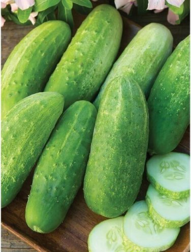 Burpee Pickler Cucumber Hybrid Easy Planting Vegetable  25 seeds