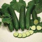 Sweet Slice Cucumber Hybrid Easy Planting Vegetable  25 seeds