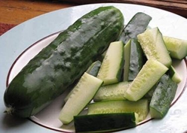 General Lee Cucumber Hybrid Easy Planting Vegetable  25 seeds