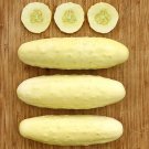 Silver Slicer Cucumber Hybrid Easy Planting Vegetable  25 seeds