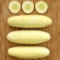 Silver Slicer Cucumber Hybrid Easy Planting Vegetable  25 seeds