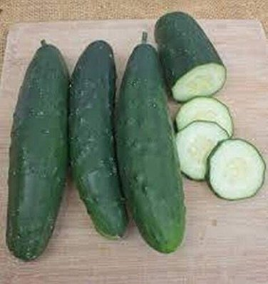 Olympian Cucumber Hybrid Easy Planting Vegetable  25 seeds