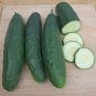 Olympian Cucumber Hybrid Easy Planting Vegetable  25 seeds