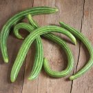 Armenian Cucumber Hybrid Easy Planting Vegetable  25 seeds