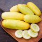 Poona Kheera Cucumber Hybrid Planting Easy Vegetable  25 seeds