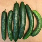 Soarer Cucumber Hybrid Easy Grow Vegetable  25 seeds