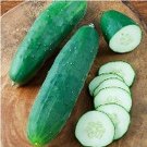 Straight Nine Cucumber Hybrid Easy Grow Vegetable  25 seeds