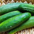 Garden Oasis Cucumber Hybrid Easy Grow Vegetable  25 seeds