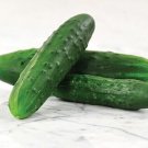 Sweet Marketmore Cucumber Hybrid Easy Grow Vegetable  25 seeds