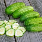 Chicago Cucumber Hybrid Easy To Grow Vegetable  25 seeds