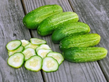 Chicago Cucumber Hybrid Easy To Grow Vegetable  25 seeds