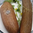 Sikkim Cucumber Hybrid Easy To Grow Vegetable  25 seeds
