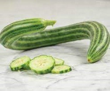 Painted Serpent Cucumber Hybrid Easy To Grow Vegetable  25 seeds
