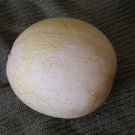 Sprite Melon Fast Growing Sweet Tasting Farm  25+ seeds