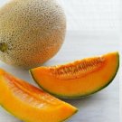 Rocket Melon Fast Growing Sweet Tasting Farm  25+ seeds