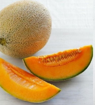 Rocket Melon Fast Growing Sweet Tasting Farm  25+ seeds