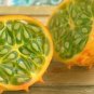 Horned Melon Fast Growing Sweet Tasting Farm  25+ seeds